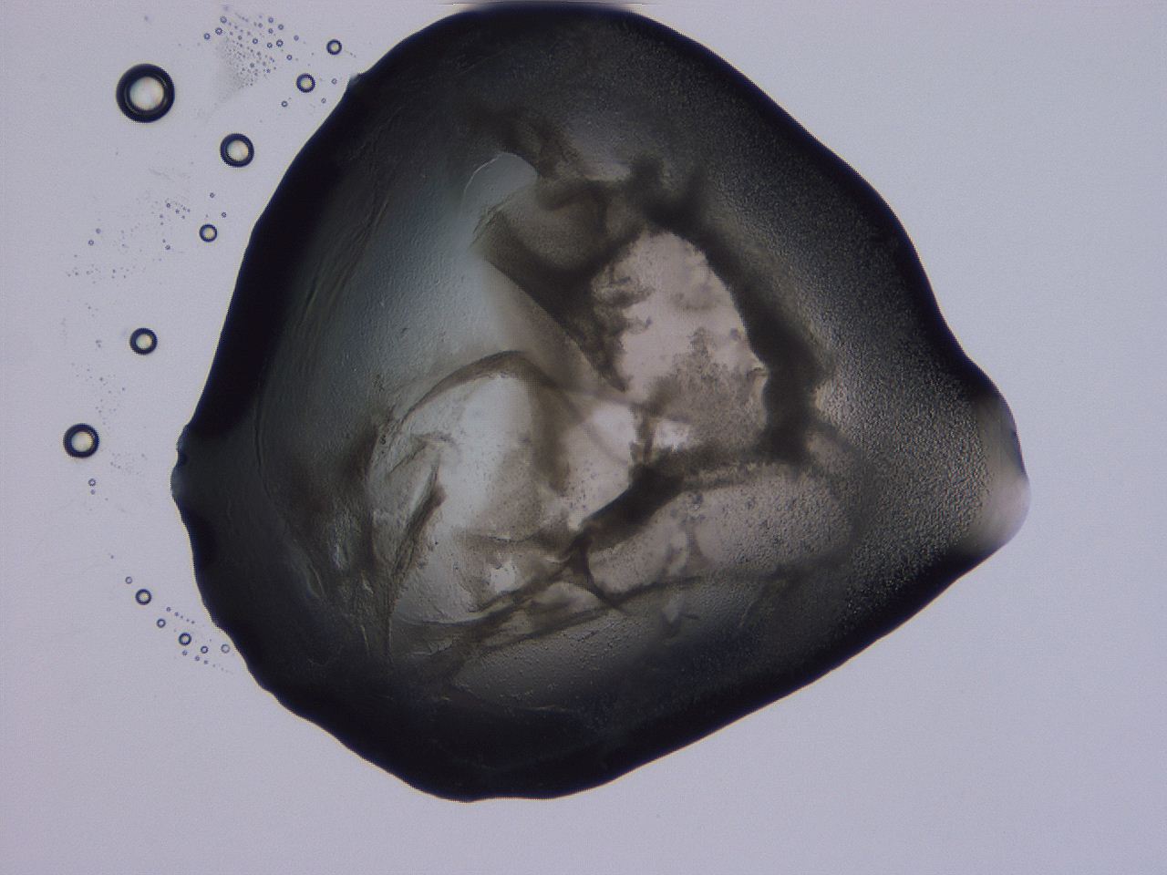 04g3_F12_ImagerDefaults_3.jpg