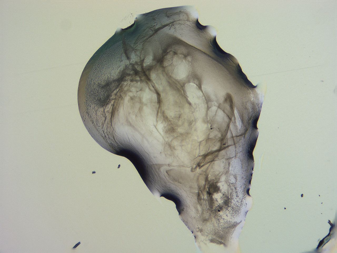 04g3_G2_ImagerDefaults_3.jpg