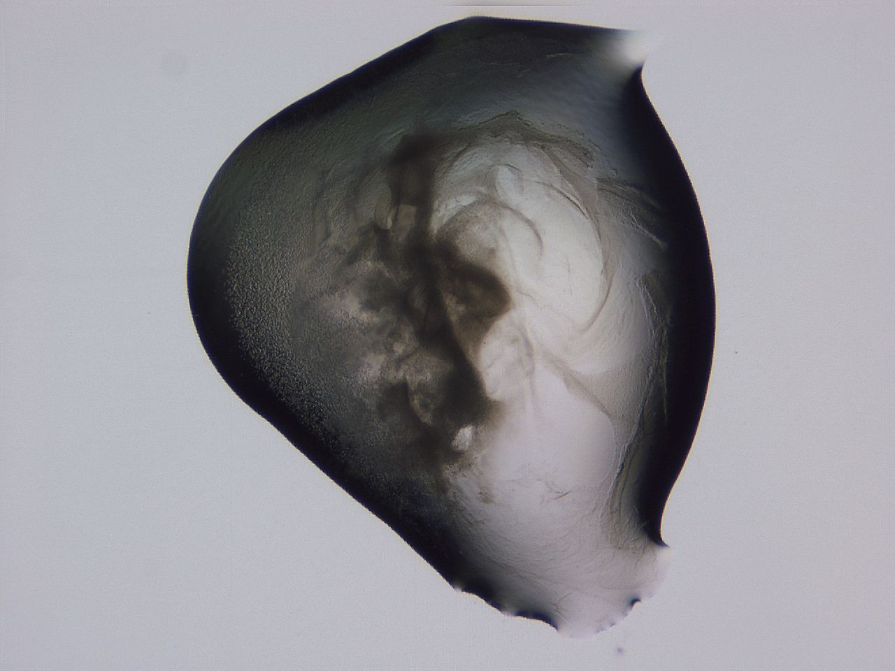 04g3_G4_ImagerDefaults_3.jpg