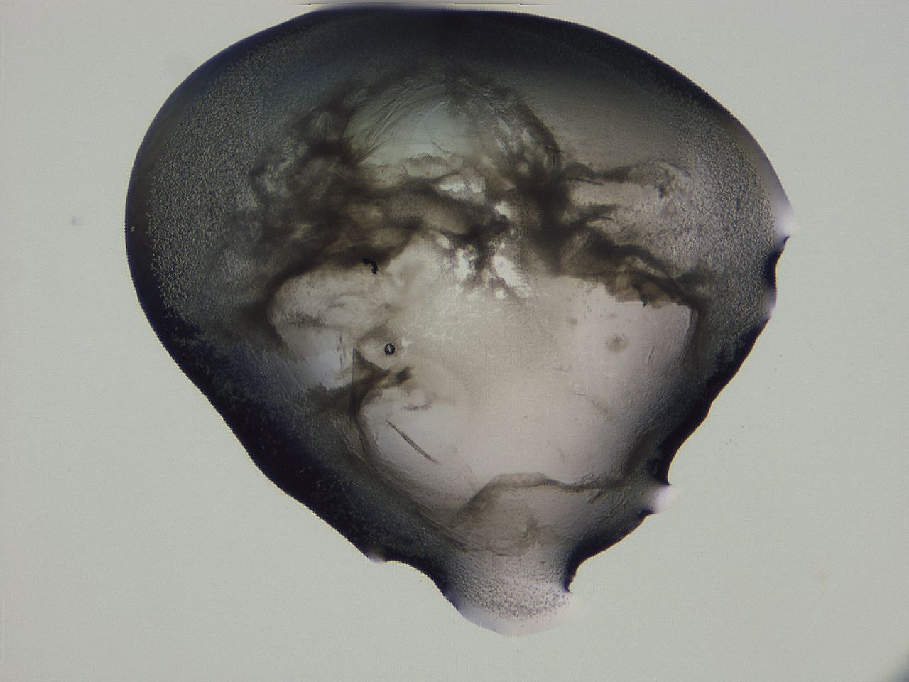 04g3_G10_ImagerDefaults_3.jpg