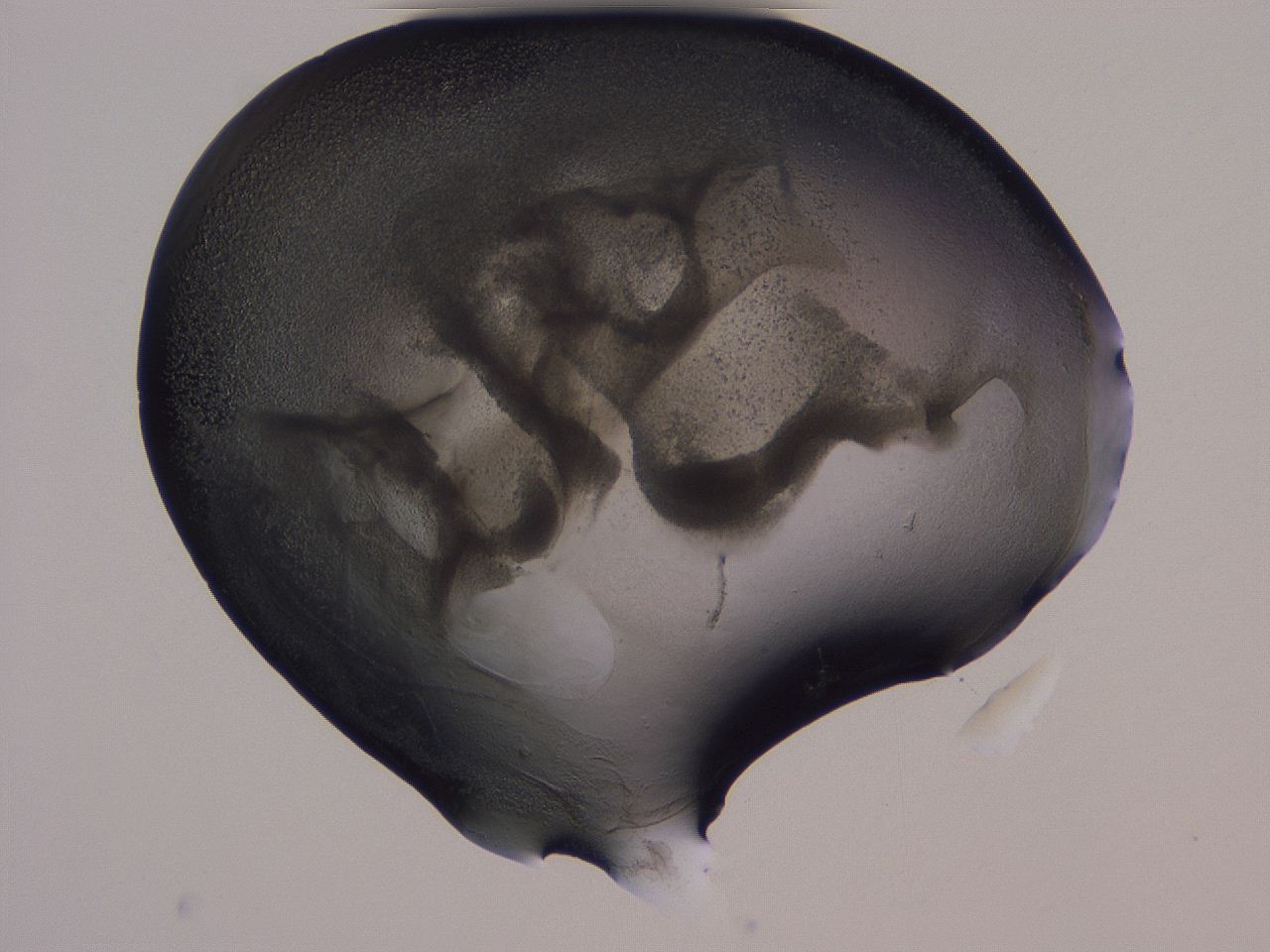 04g3_H10_ImagerDefaults_3.jpg