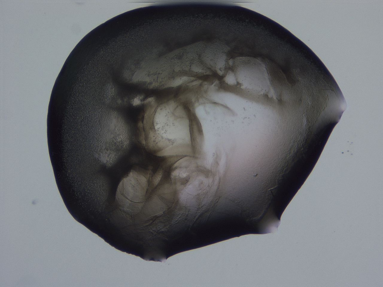 04g3_H11_ImagerDefaults_3.jpg
