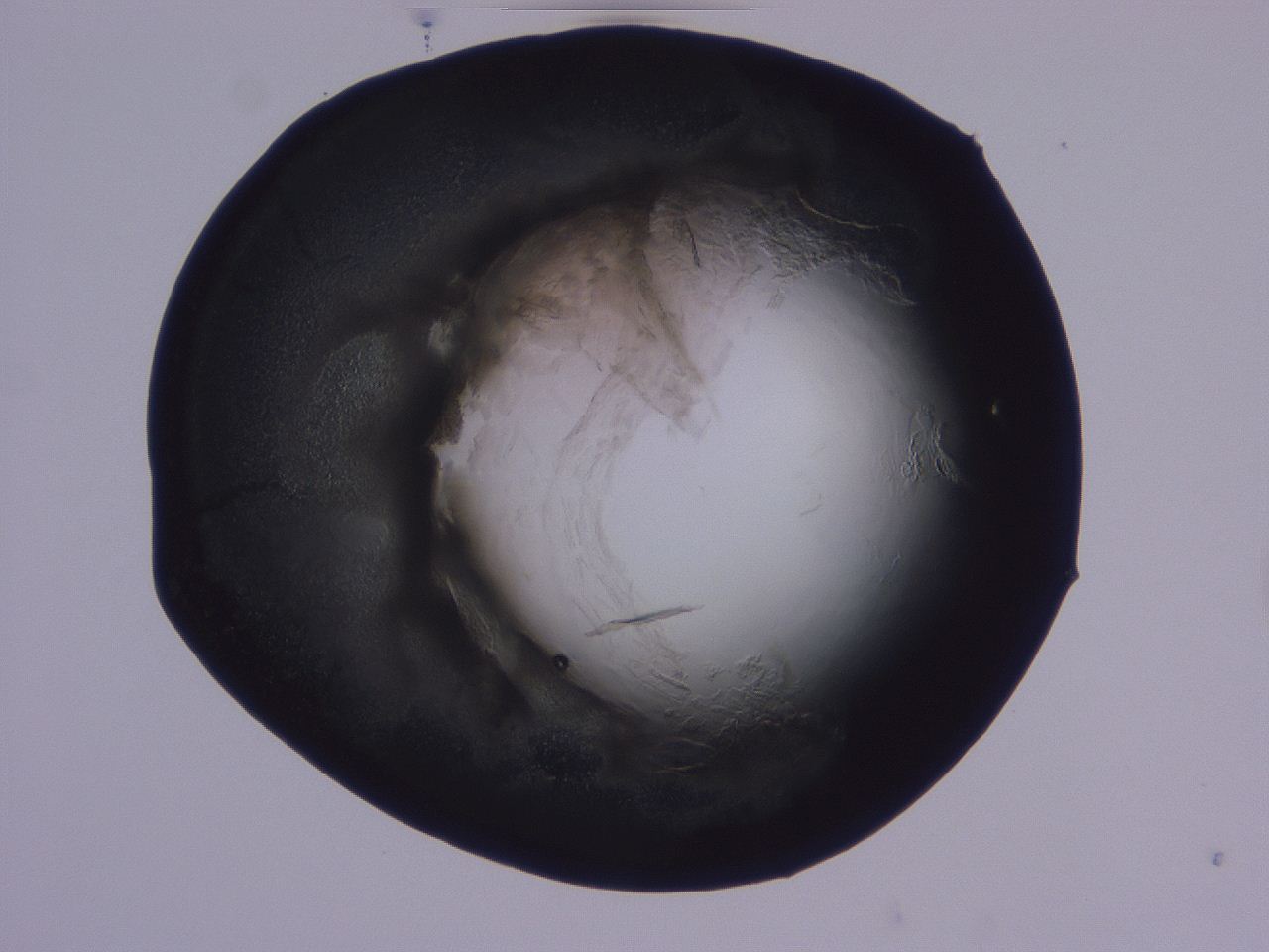 04g4_C4_ImagerDefaults_3.jpg