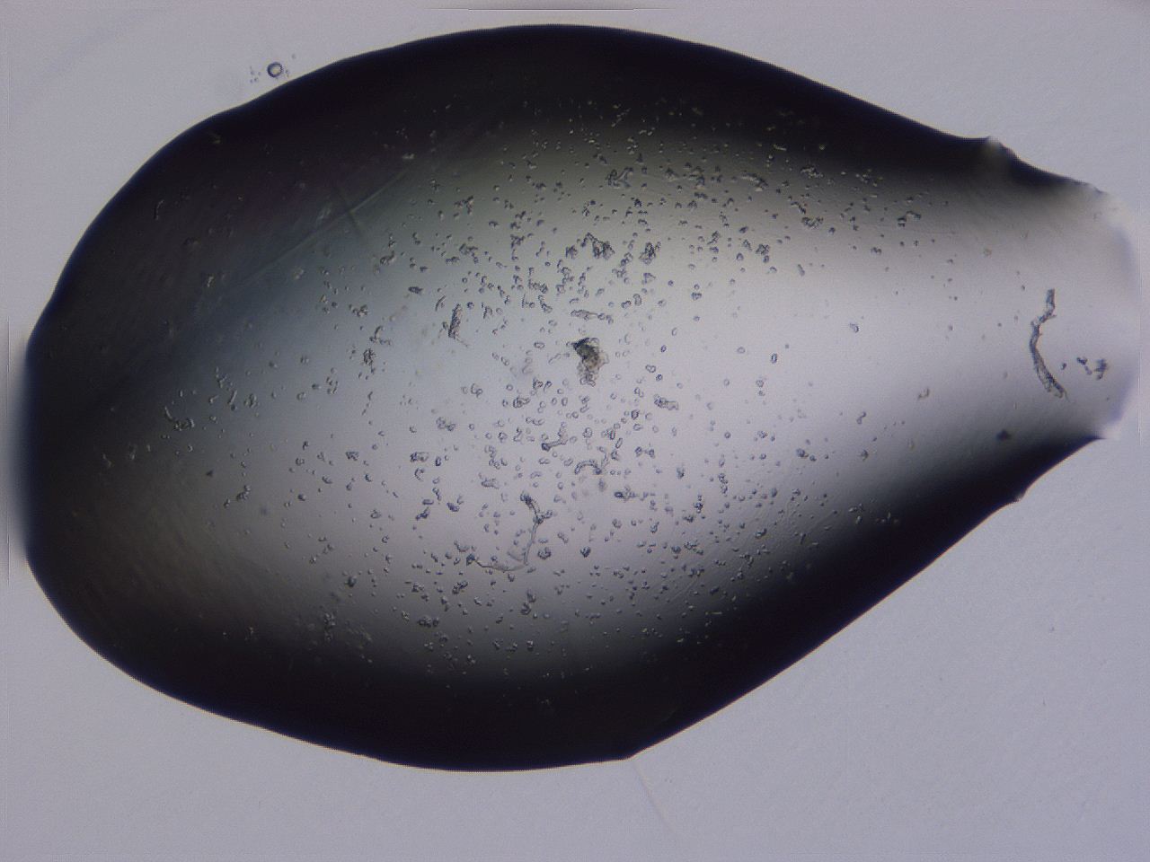 04g4_C3_ImagerDefaults_0.jpg