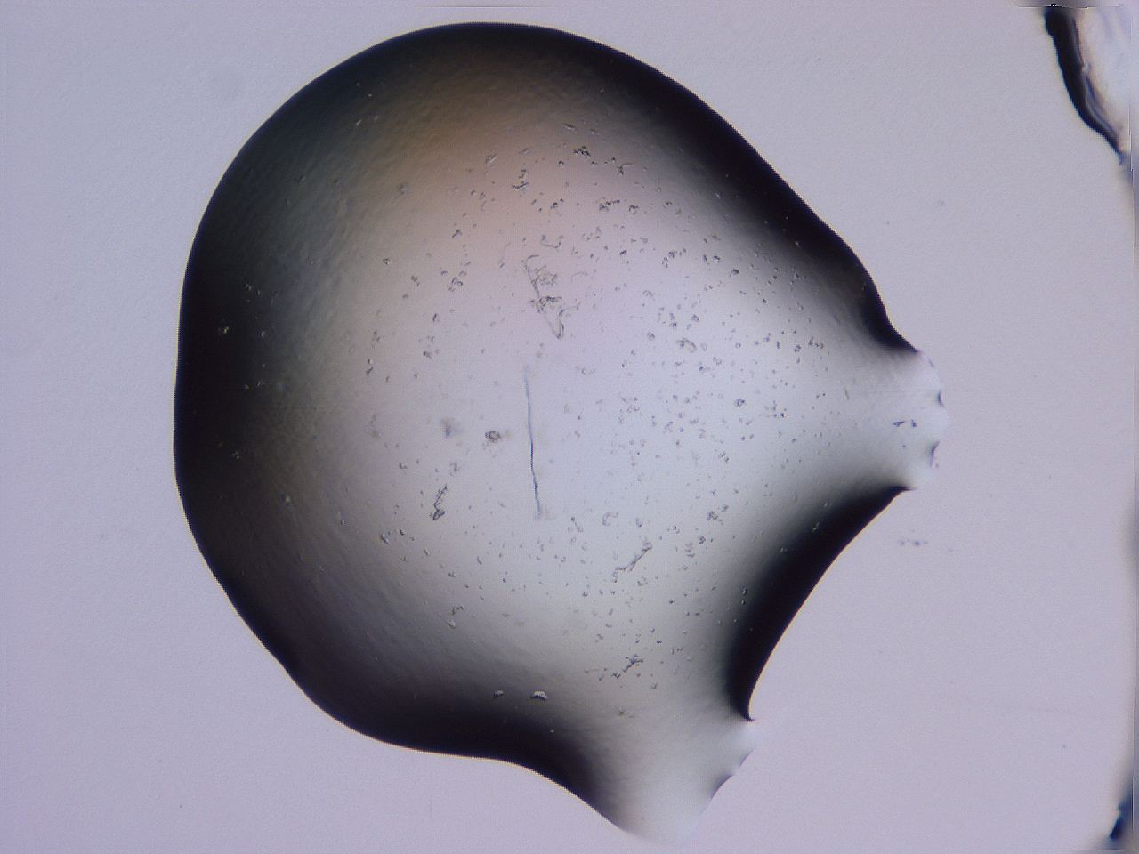 04g4_C5_ImagerDefaults_0.jpg