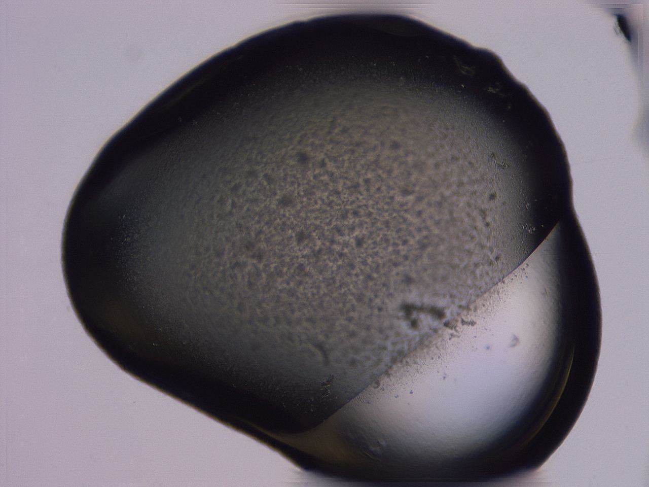 04g4_C2_ImagerDefaults_0.jpg
