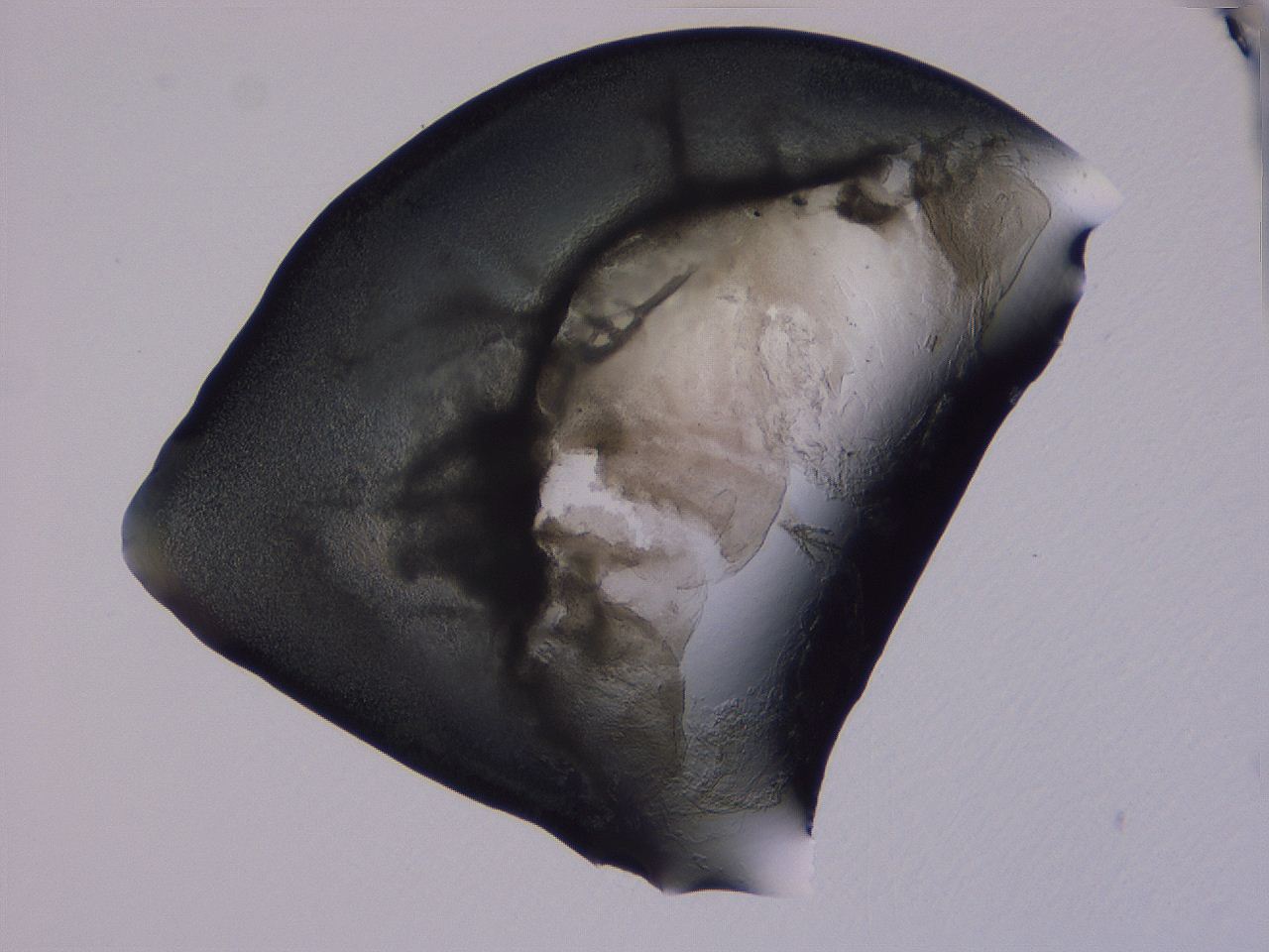 04g4_C6_ImagerDefaults_3.jpg