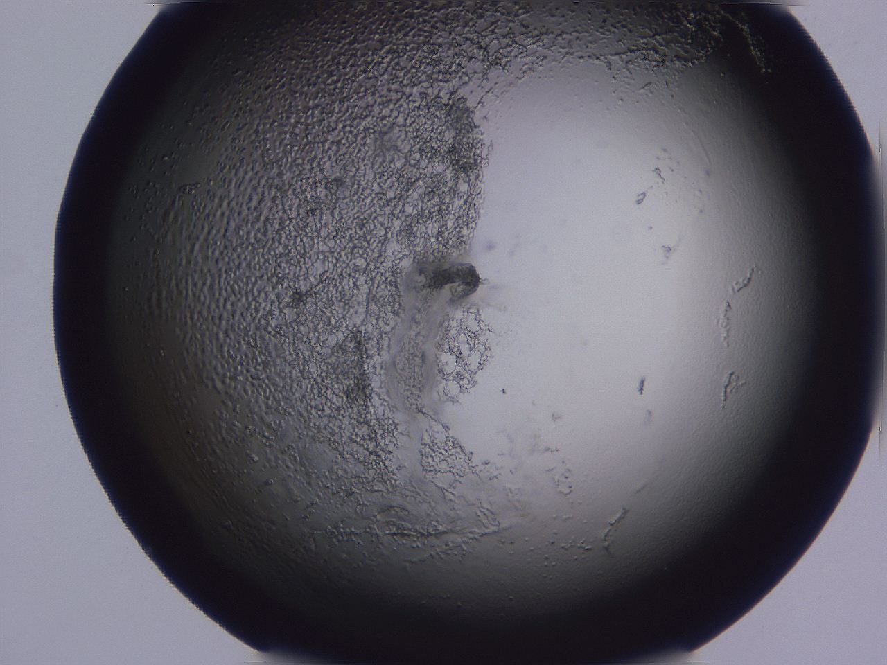 04g4_C12_ImagerDefaults_3.jpg
