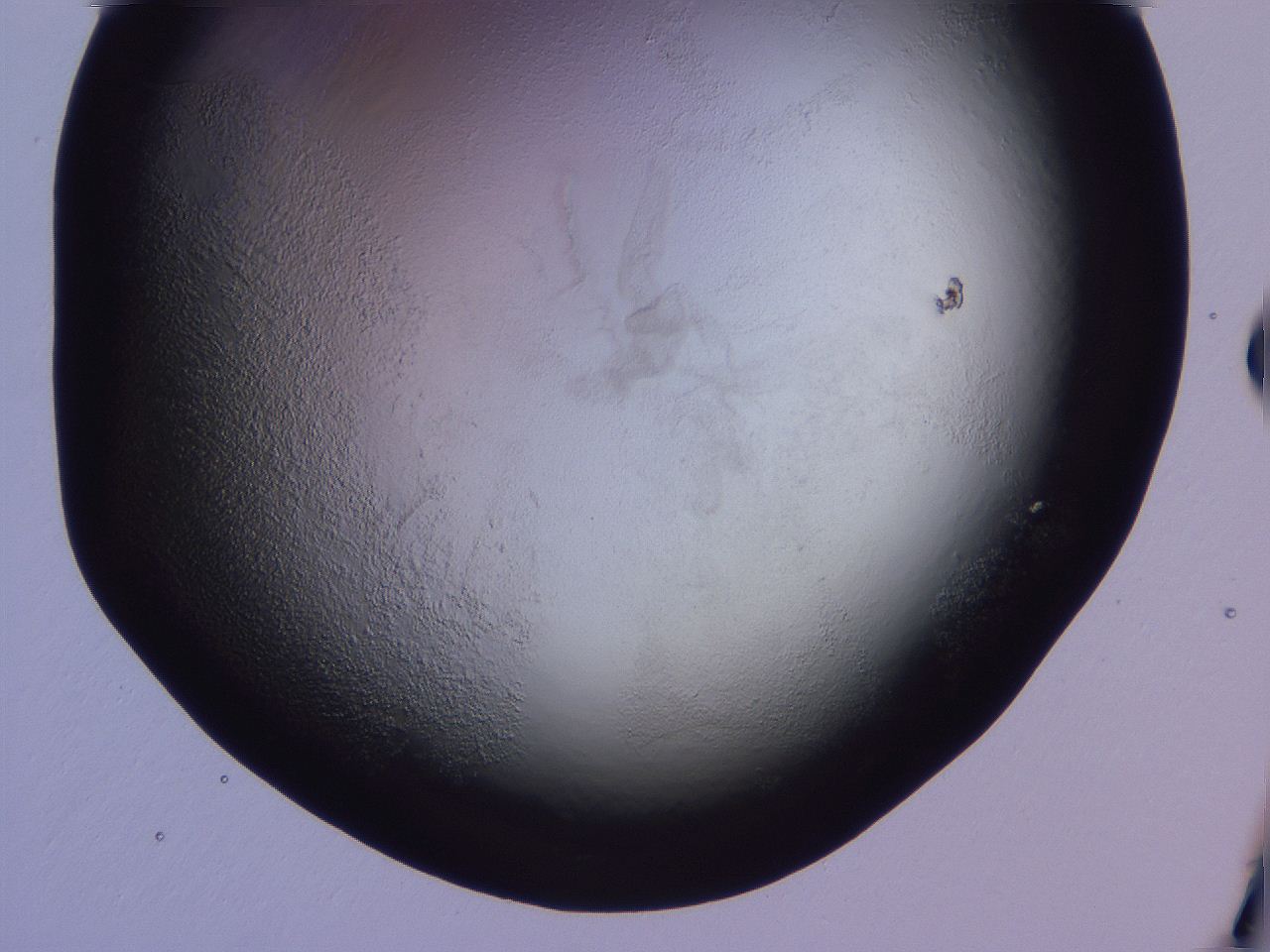 04g4_D1_ImagerDefaults_3.jpg