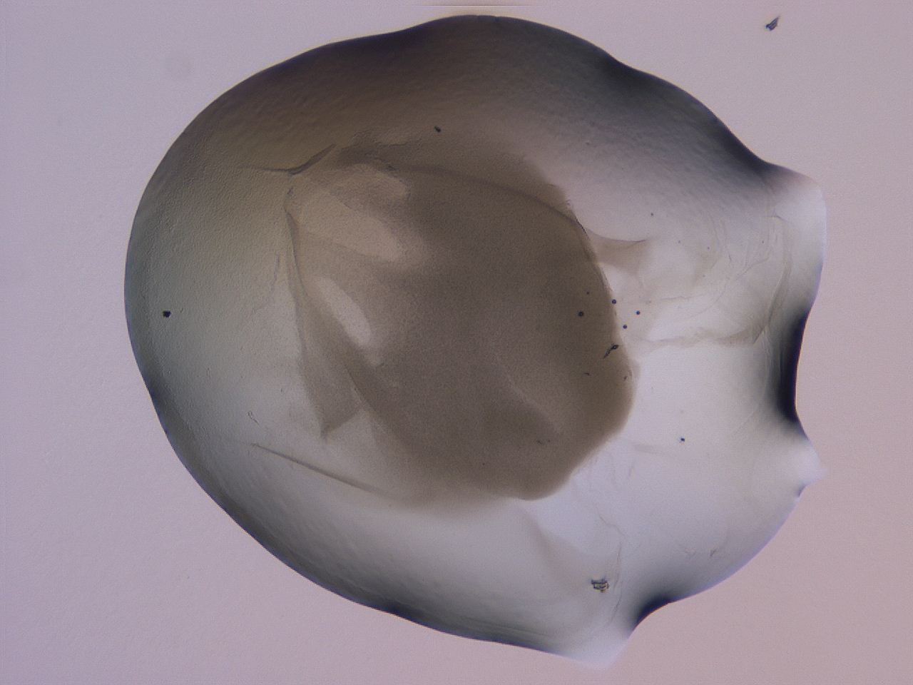 04g4_D2_ImagerDefaults_3.jpg