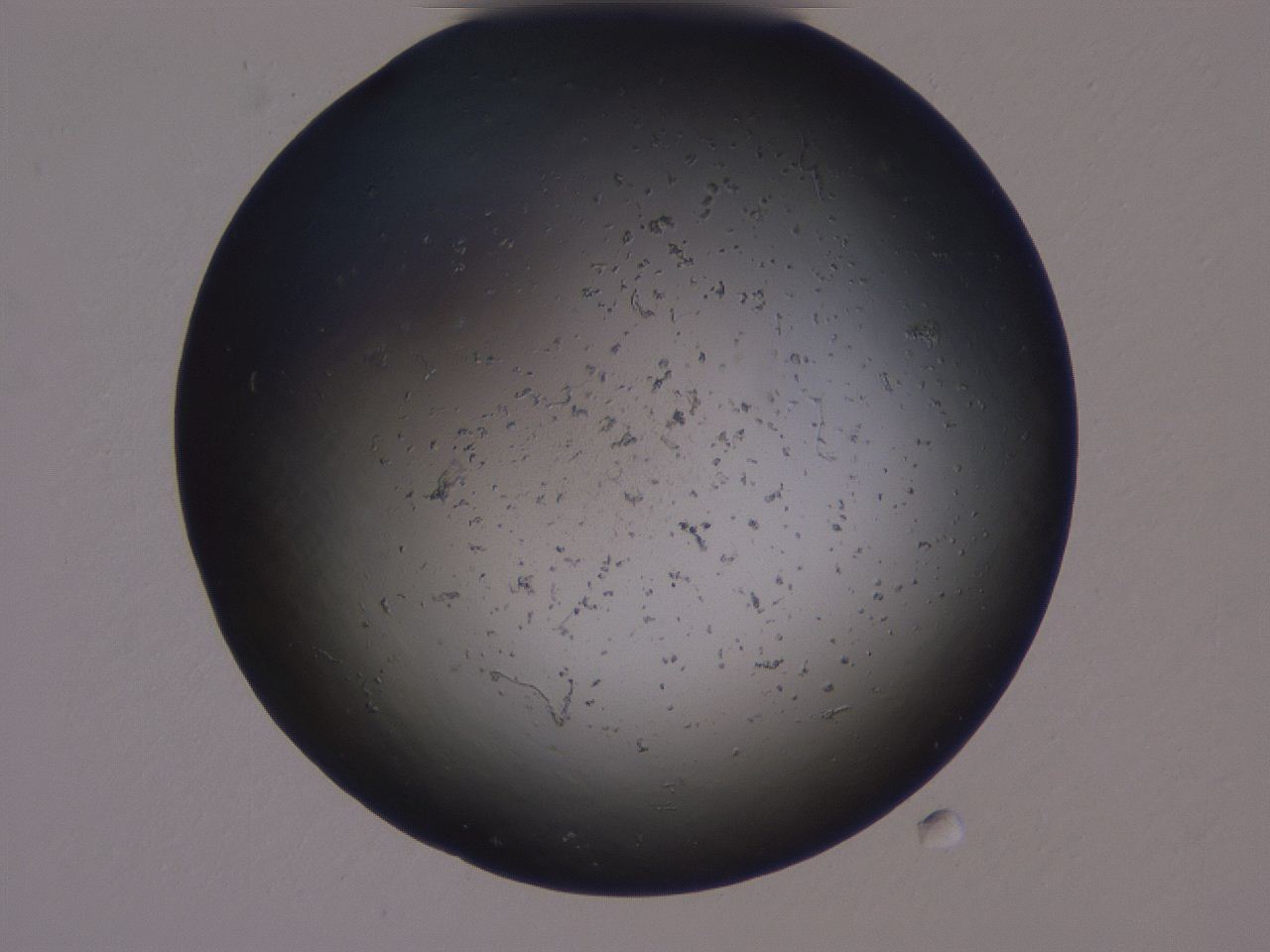 04g4_A3_ImagerDefaults_0.jpg