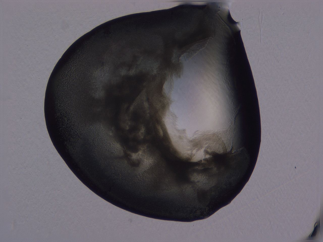 04g4_A6_ImagerDefaults_3.jpg