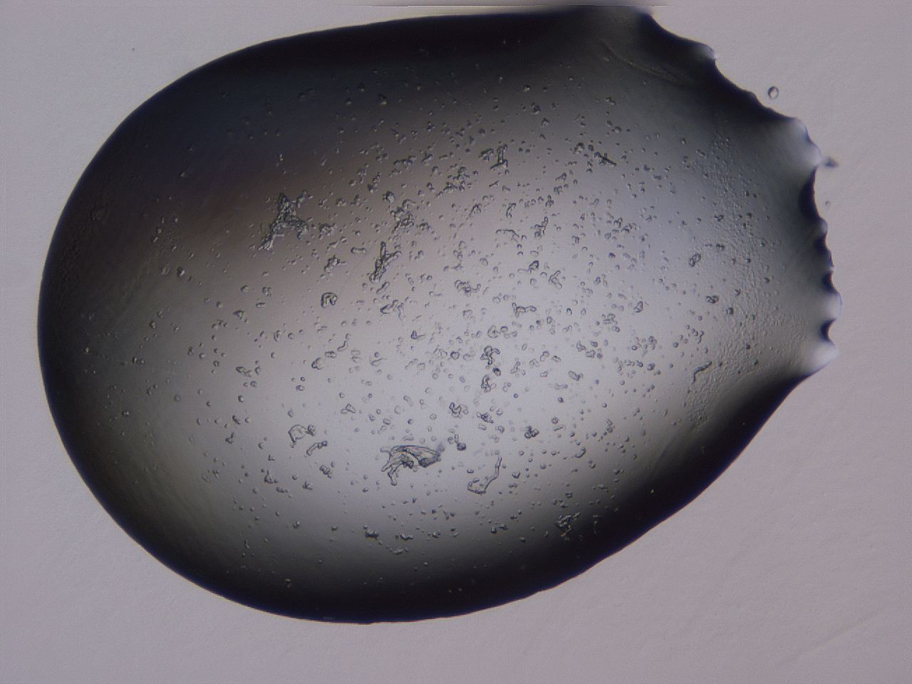 04g4_A7_ImagerDefaults_3.jpg