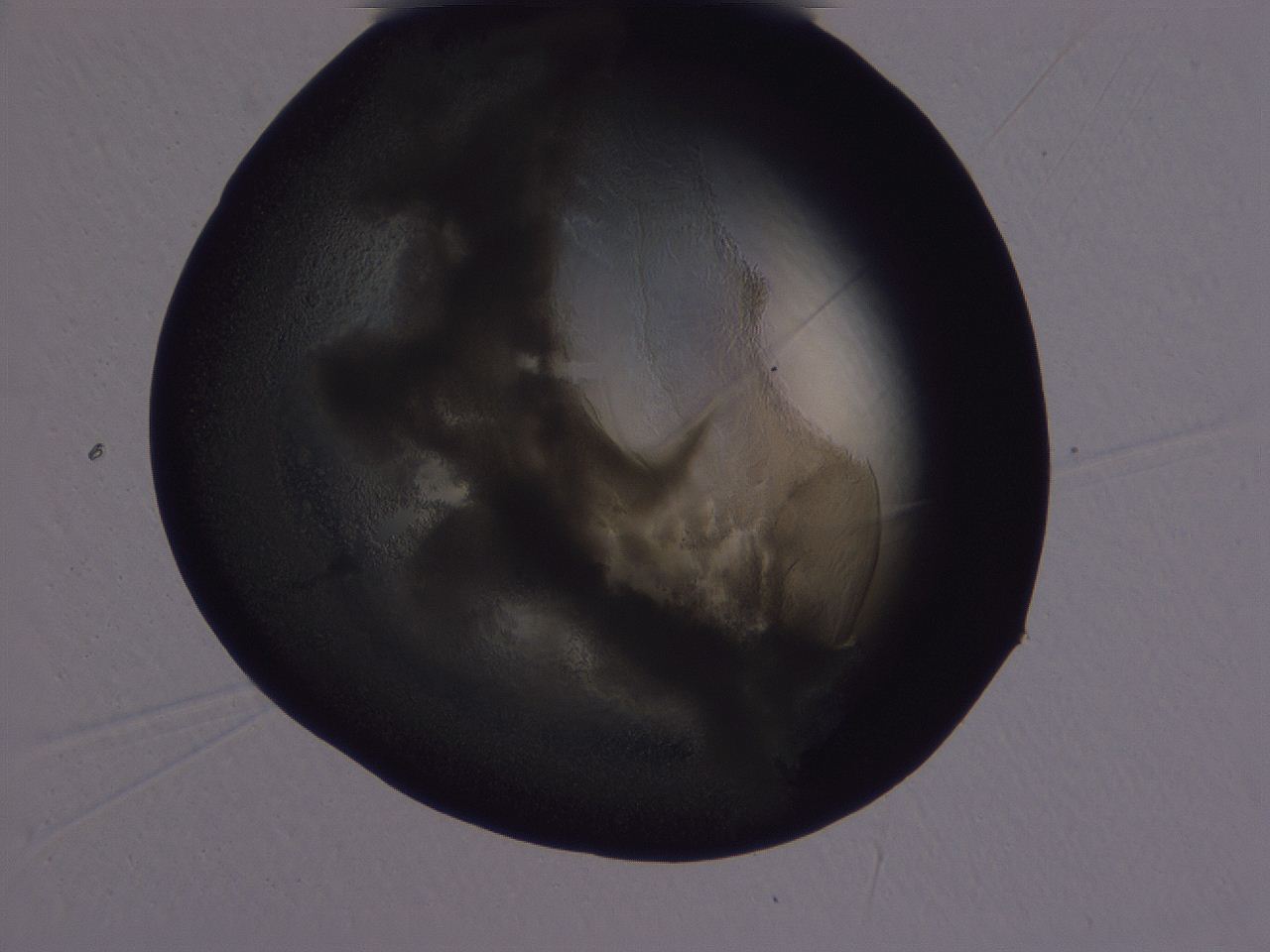 04g4_A10_ImagerDefaults_3.jpg