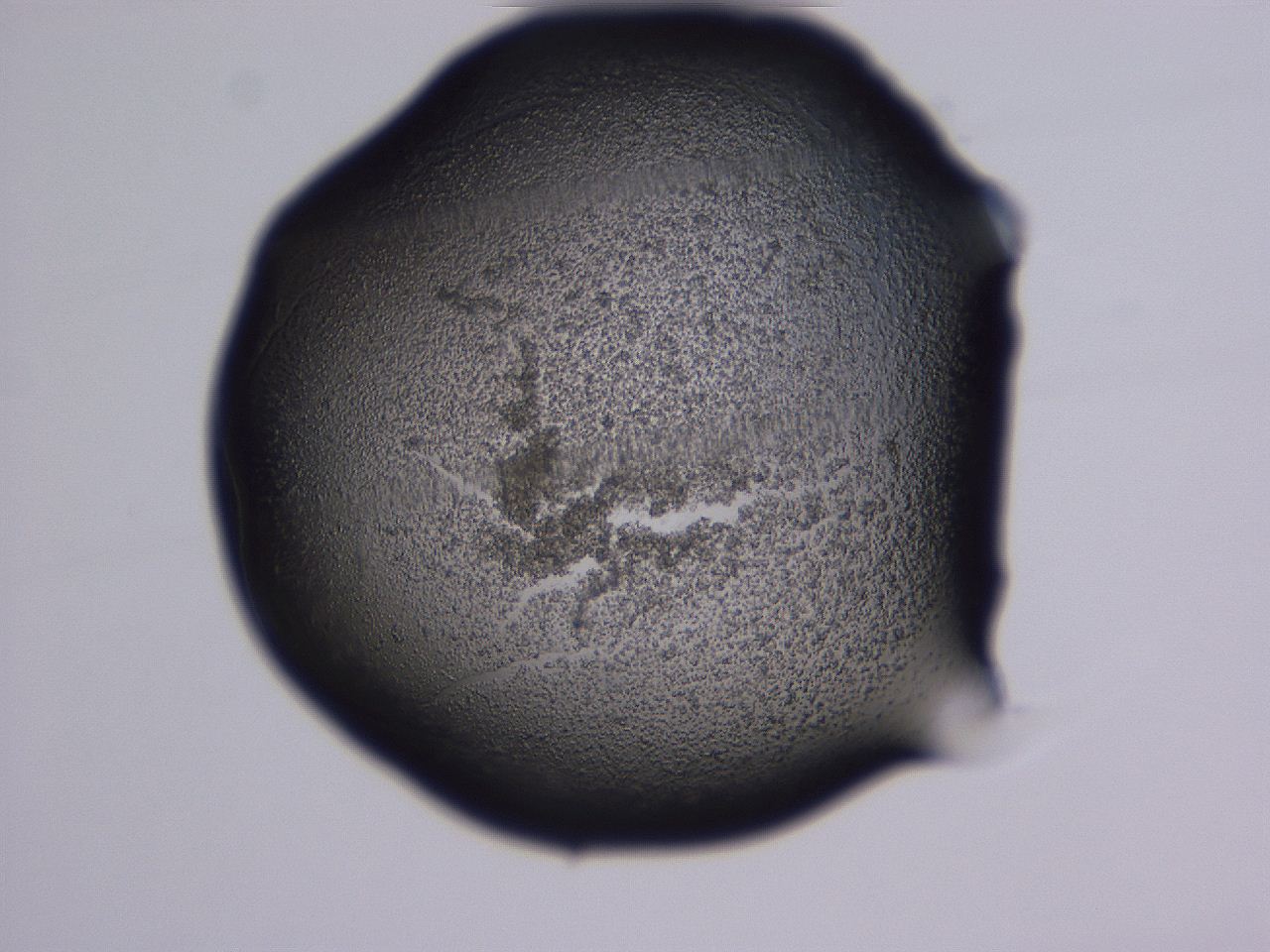 04g4_A11_ImagerDefaults_3.jpg