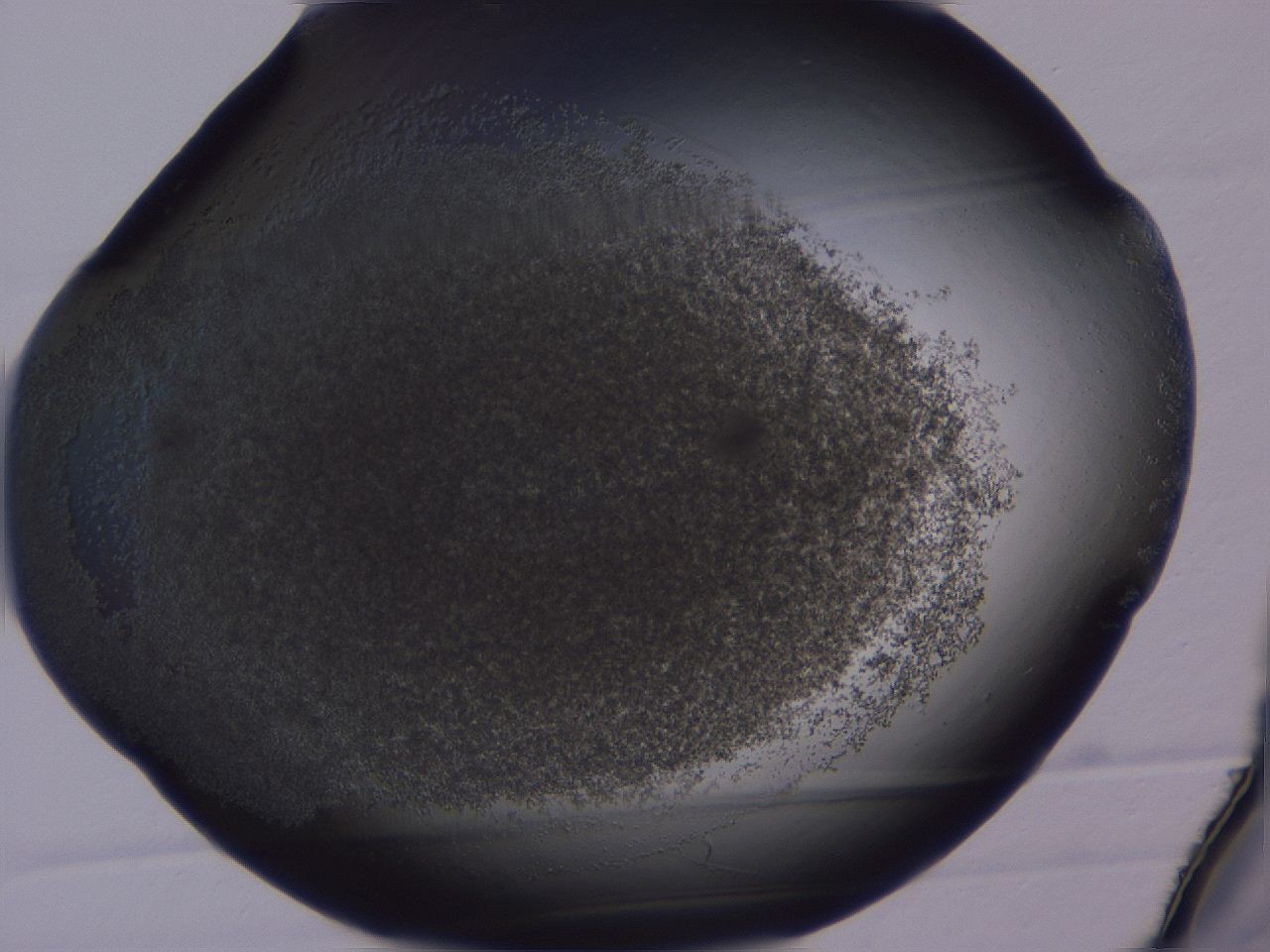 04g4_A12_ImagerDefaults_3.jpg