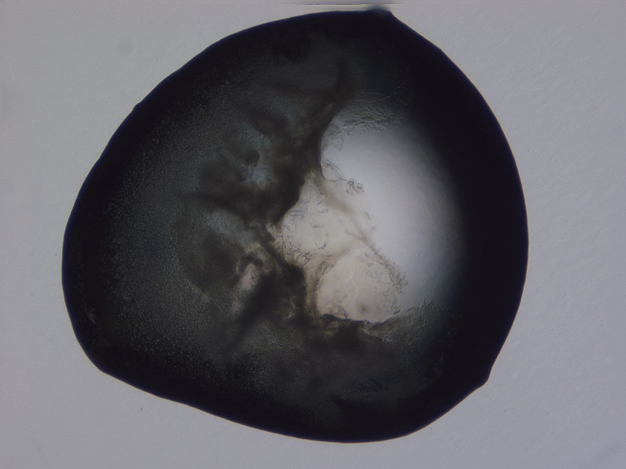 04g4_B3_ImagerDefaults_3.jpg