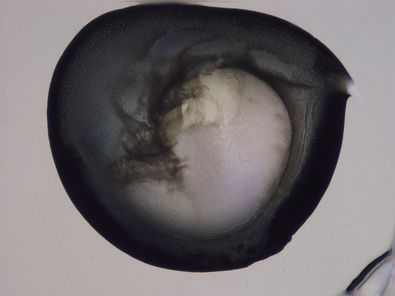 04g4_D6_ImagerDefaults_3.jpg