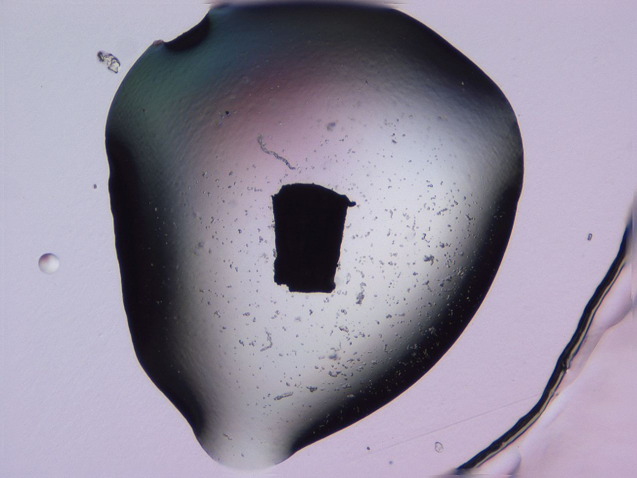 04g4_D8_ImagerDefaults_0.jpg