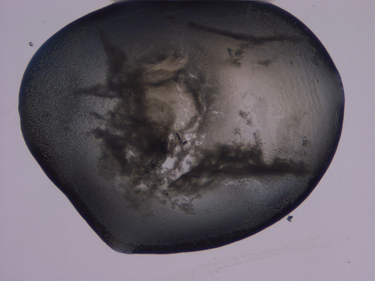 04g4_D10_ImagerDefaults_3.jpg