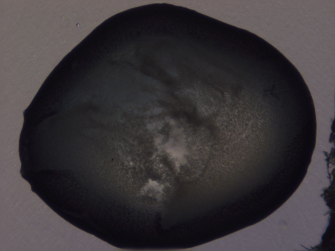 04g4_A1_ImagerDefaults_3.jpg
