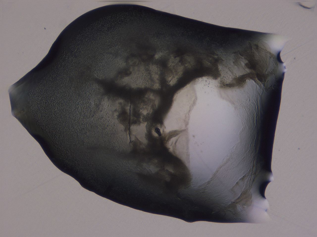 04g4_B5_ImagerDefaults_3.jpg