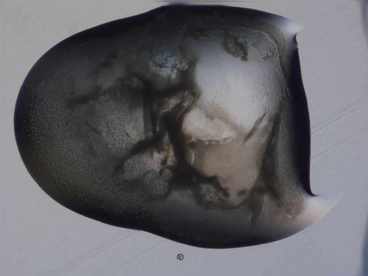 04g4_B6_ImagerDefaults_3.jpg