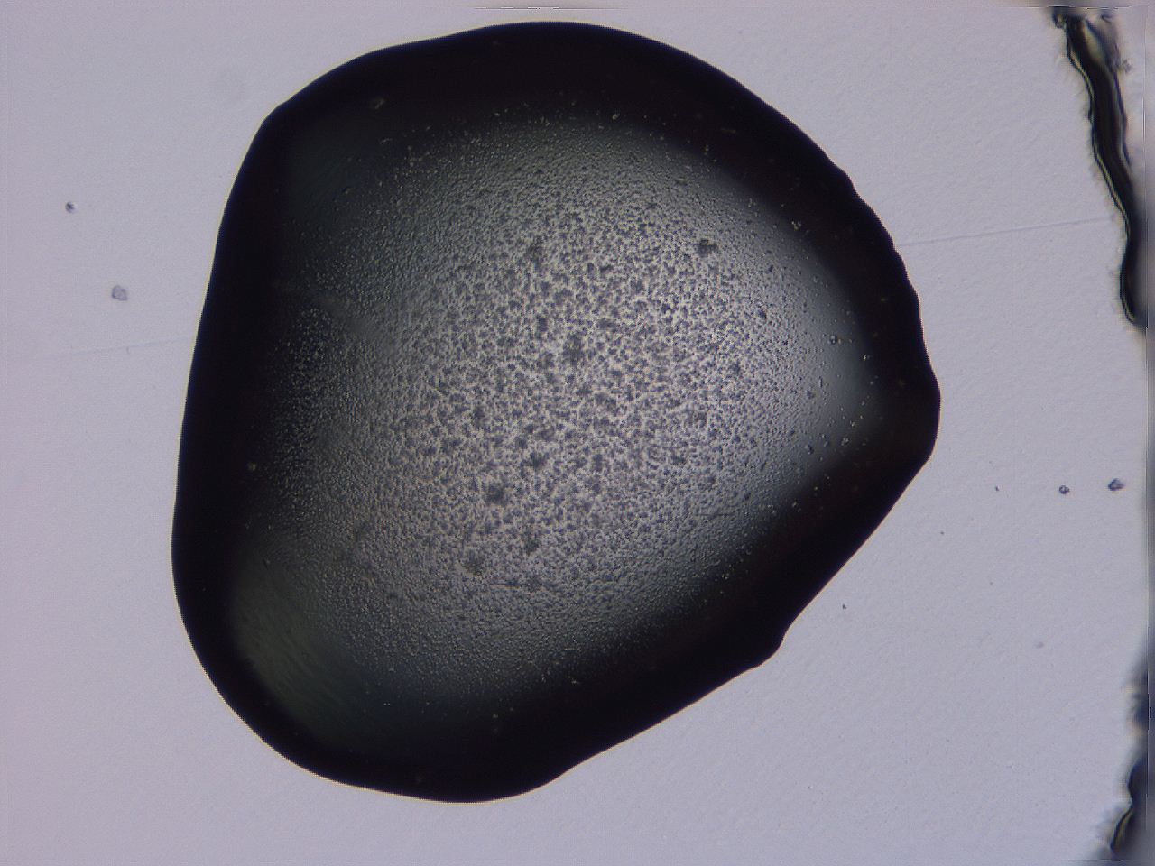 04g4_B9_ImagerDefaults_3.jpg