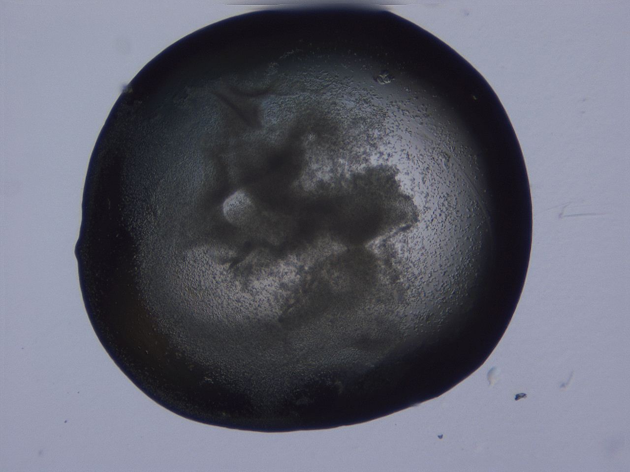 04g4_B11_ImagerDefaults_3.jpg