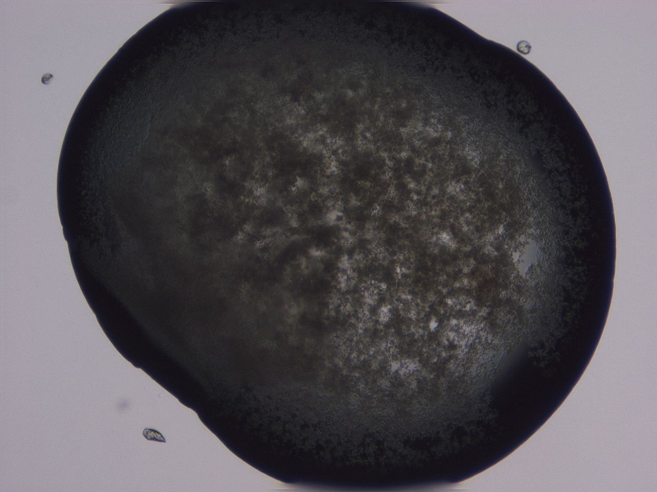 04g4_B12_ImagerDefaults_3.jpg