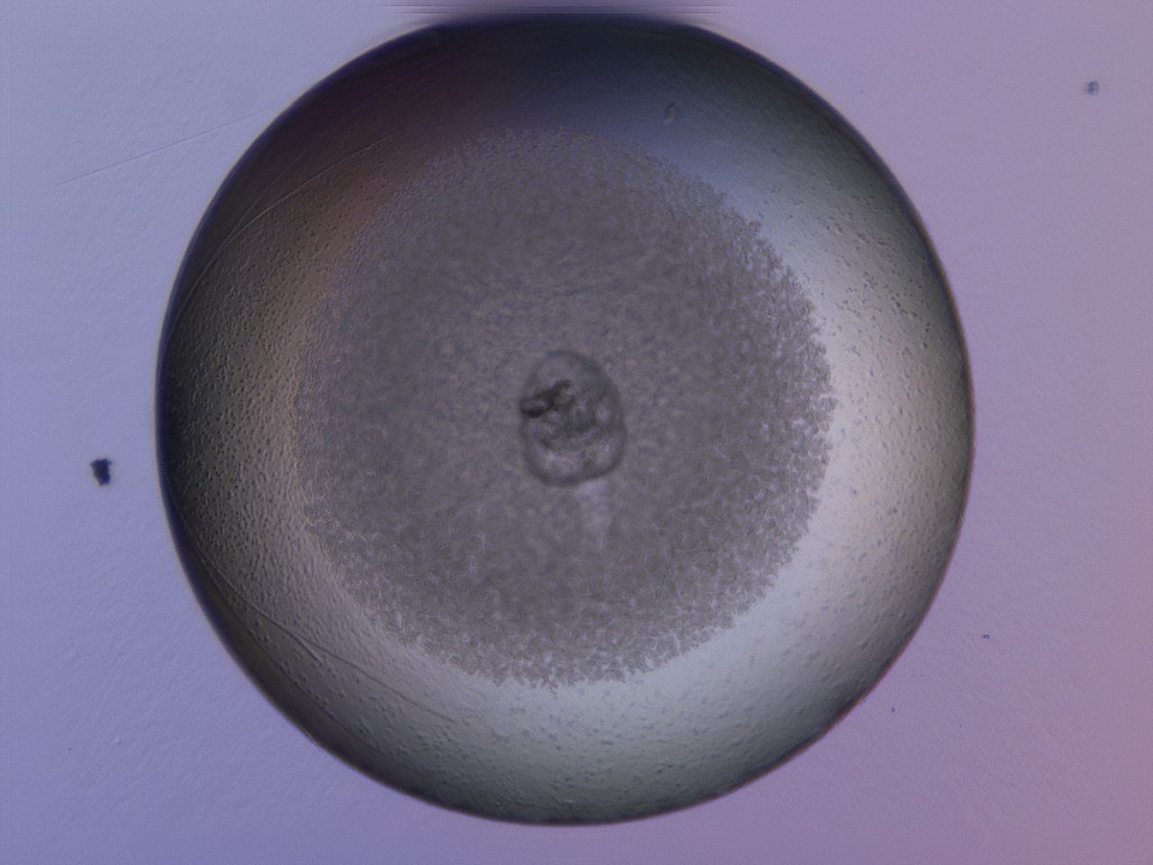 04g4_E2_ImagerDefaults_3.jpg