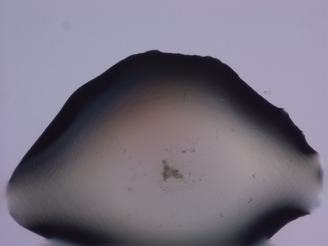 04g4_E6_ImagerDefaults_0.jpg