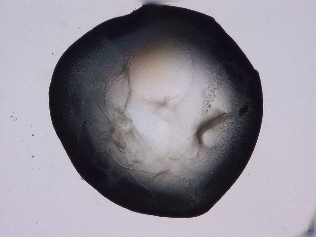 04g4_E7_ImagerDefaults_3.jpg