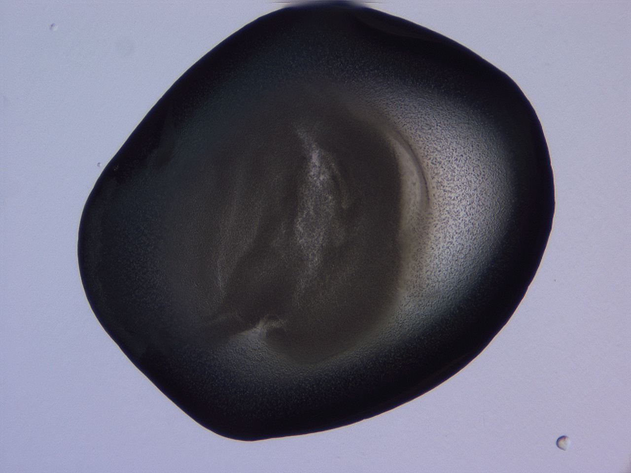 04g4_E10_ImagerDefaults_3.jpg