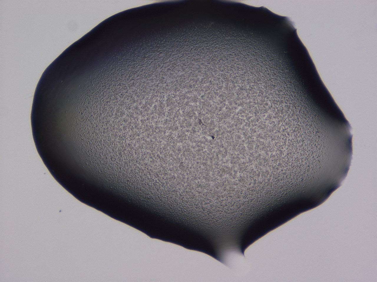 04g4_E11_ImagerDefaults_3.jpg