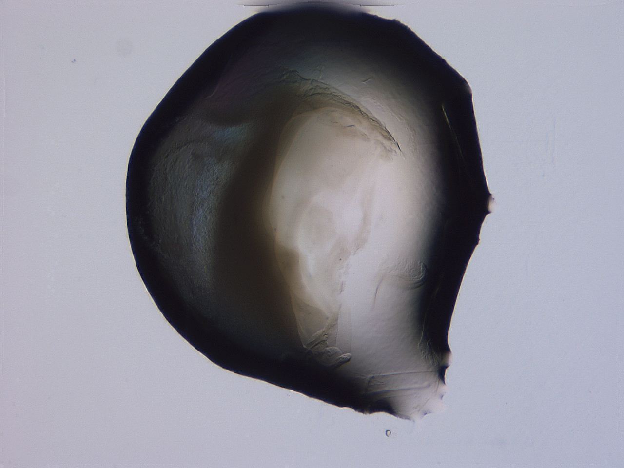 04g4_E12_ImagerDefaults_3.jpg