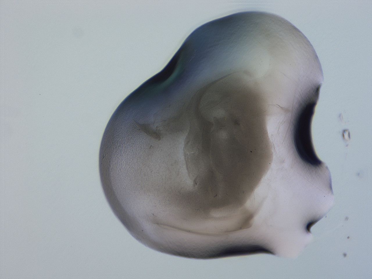 04g4_F2_ImagerDefaults_3.jpg