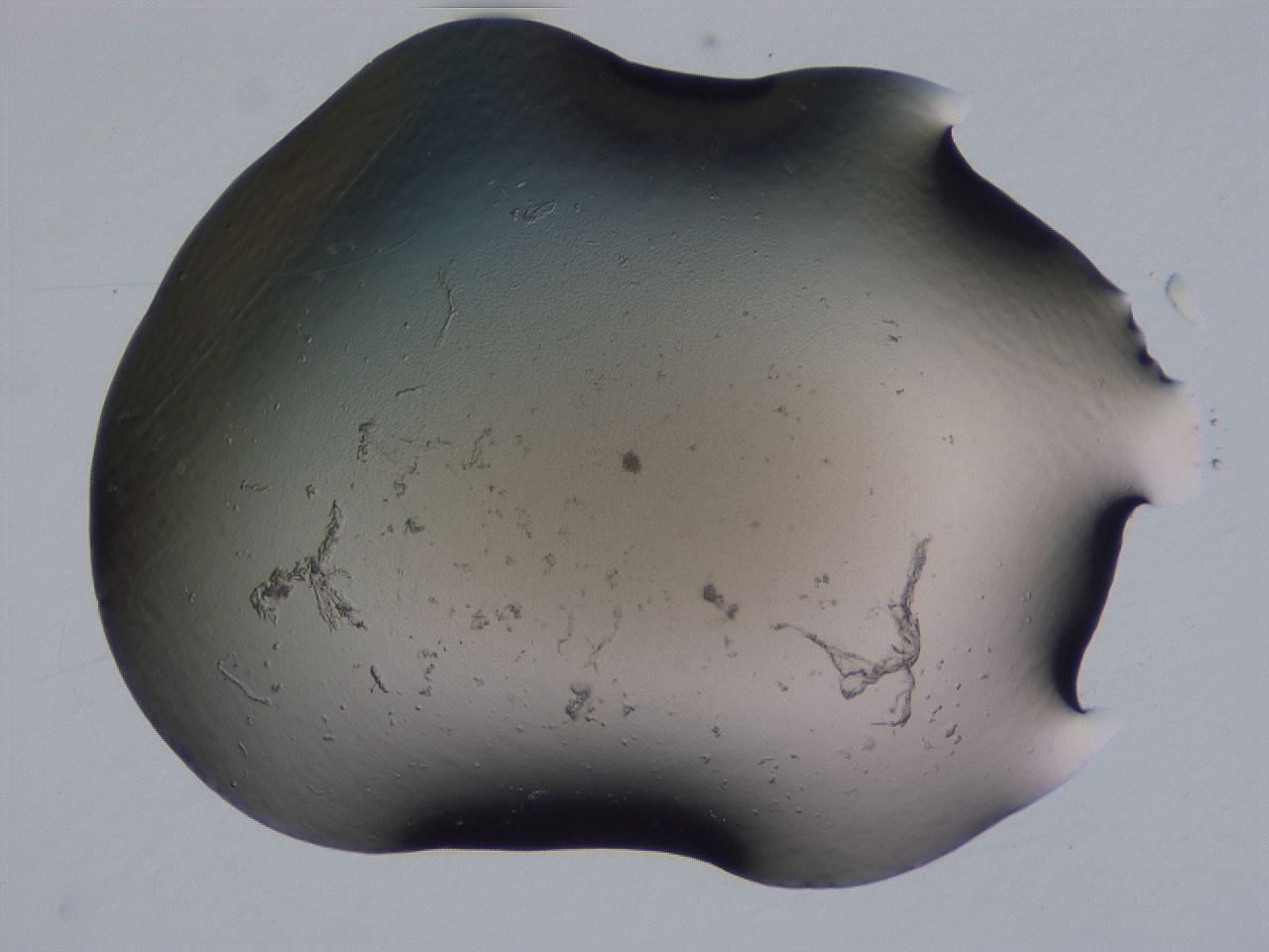 04g4_F4_ImagerDefaults_0.jpg
