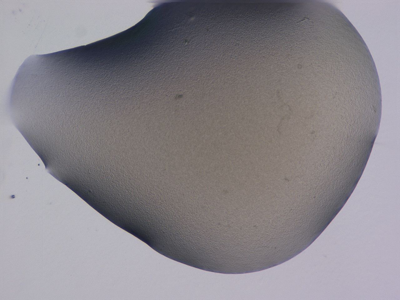 04g4_F7_ImagerDefaults_3.jpg