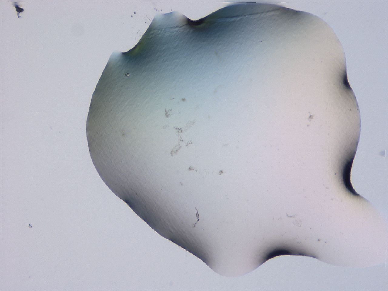 04g4_F8_ImagerDefaults_0.jpg