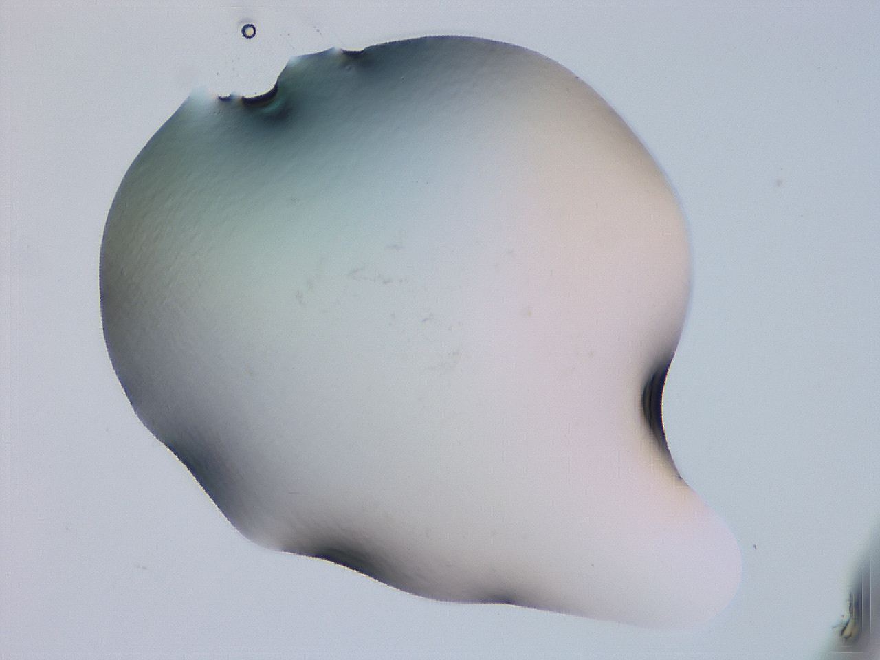 04g4_F9_ImagerDefaults_0.jpg