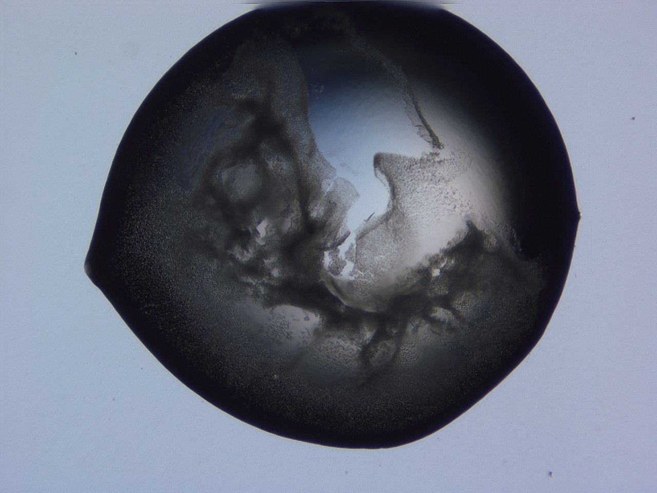 04g4_F10_ImagerDefaults_3.jpg