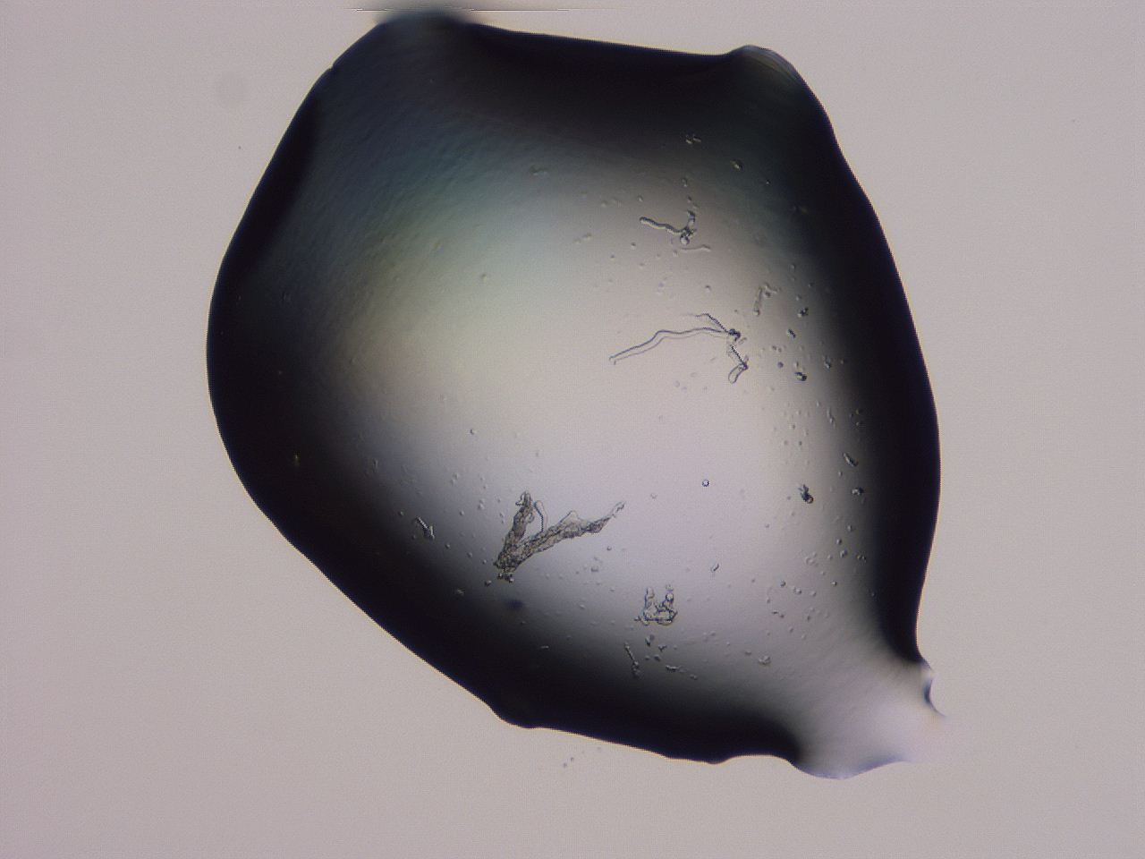 04g4_F11_ImagerDefaults_3.jpg