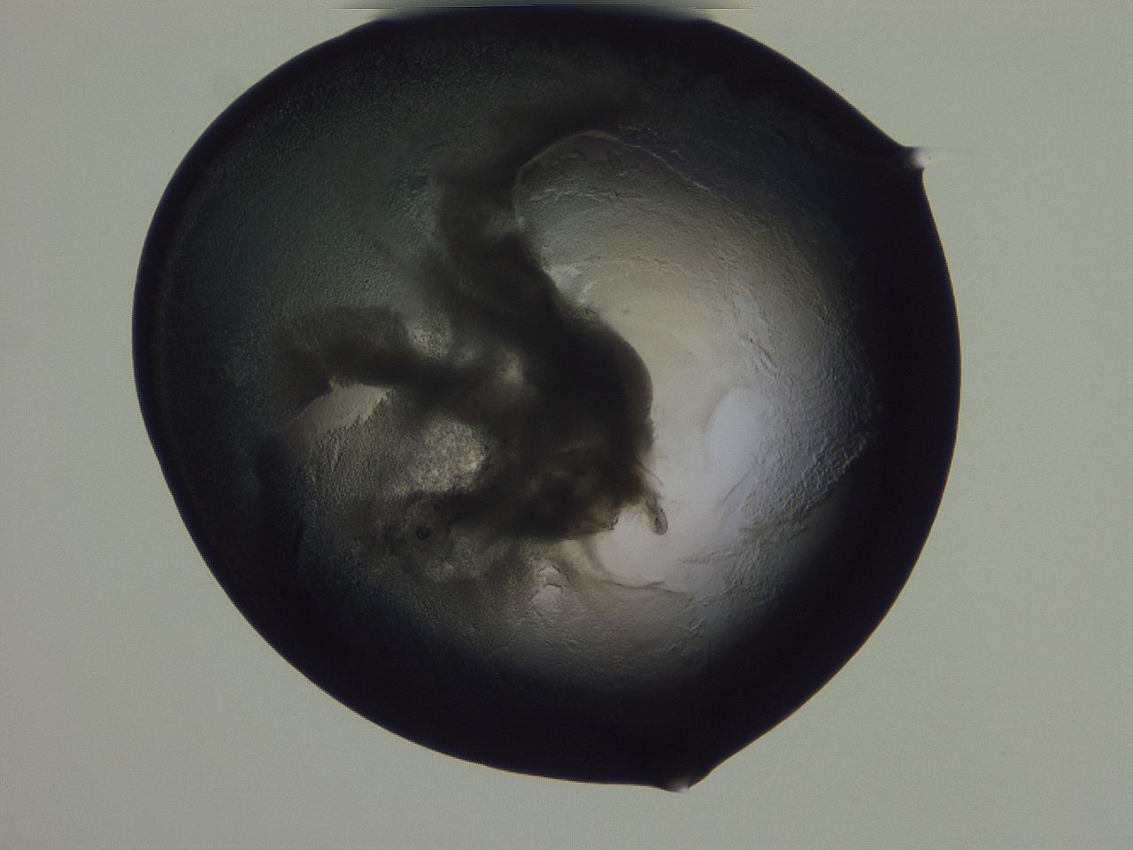 04g4_G2_ImagerDefaults_3.jpg