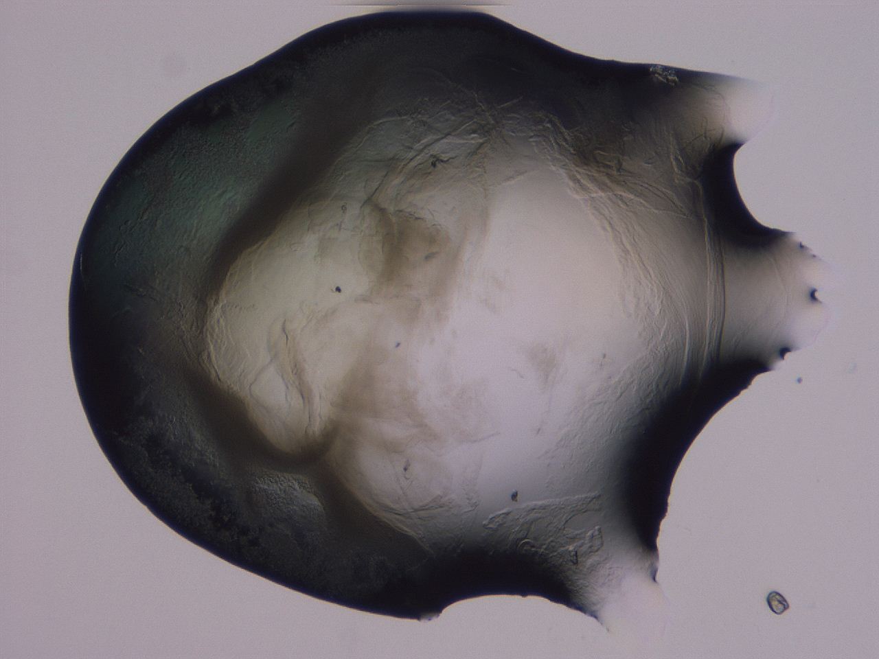 04g4_G3_ImagerDefaults_3.jpg