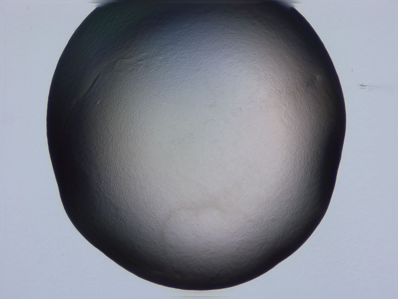 04g4_G5_ImagerDefaults_0.jpg