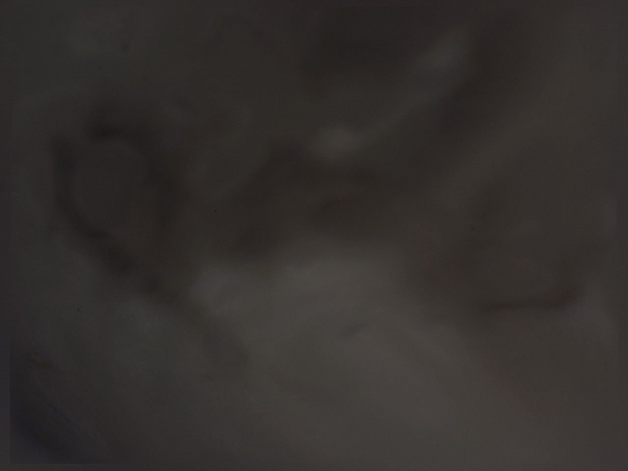 04g4_G8_ImagerDefaults_3.jpg