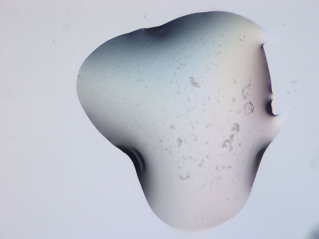 04g4_G9_ImagerDefaults_0.jpg