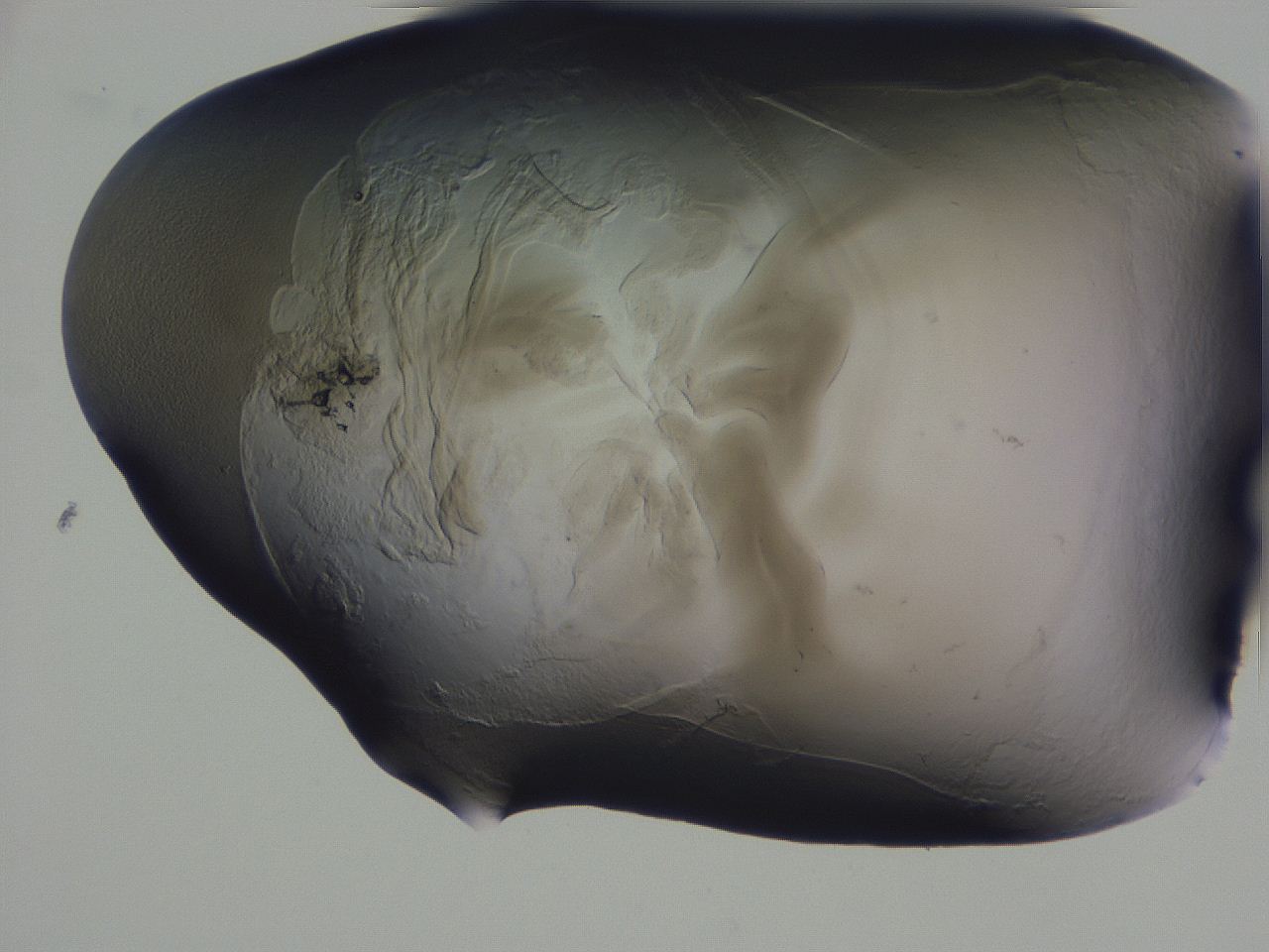 04g4_G10_ImagerDefaults_3.jpg