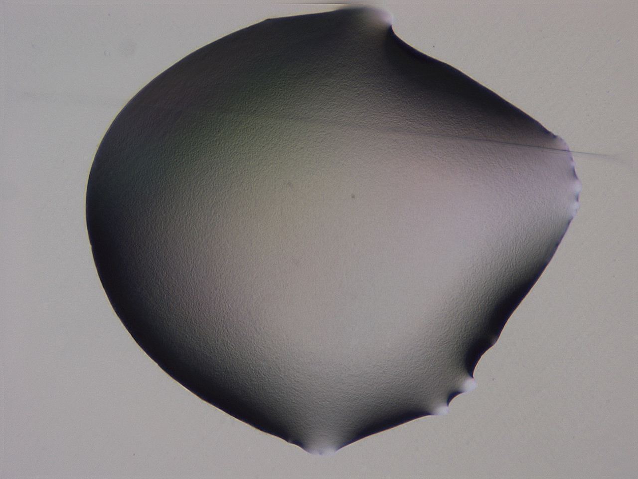 04g4_H3_ImagerDefaults_0.jpg